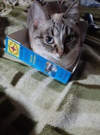 моя так)