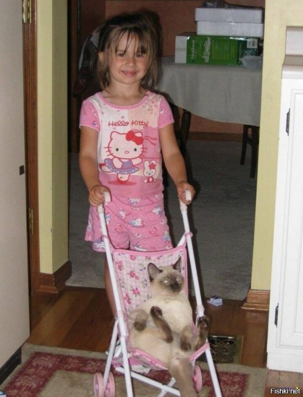 Солянка от 22.11.2022