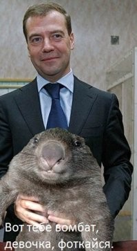 Девушка из Москвы делает сказочные кадры с участием животных