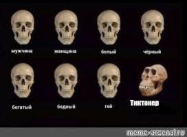 Брухляев хватит постить тик-ток бред