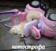 Не ищите здесь смысл. Здесь в основном маразм