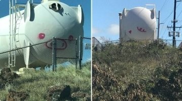 Хохлосвиньи пытаются о себе напомнить.