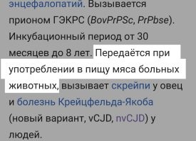 Ну так не из-за самого факта употребления комбикорма, а из-за того, что при изготовлении комбикорма, туда мясо больных животных добавили. 

А если бы туда свинец, ртуть и уран с плутонием досыпали? 

В природе, довольно много видов, не чурающихся каннибализма. 
И ничего, живут как-то. 
Не вымирают.