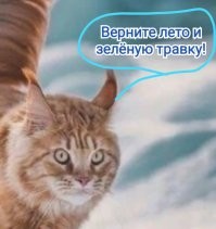 Йожика картинки. Выпуск 243