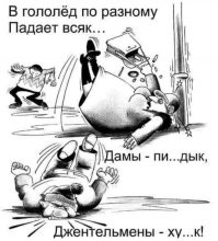 Йожика картинки. Выпуск 245
