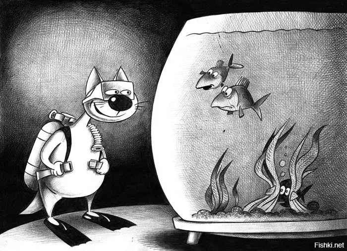 Солянка от 23.11.2022