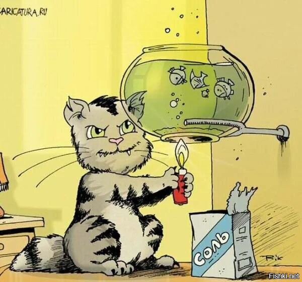 Солянка от 23.11.2022