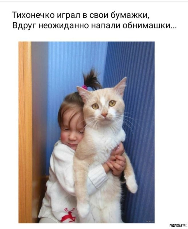 Солянка от 23.11.2022