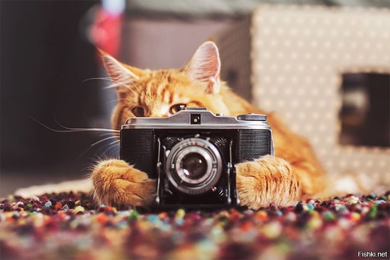 Солянка от 23.11.2022