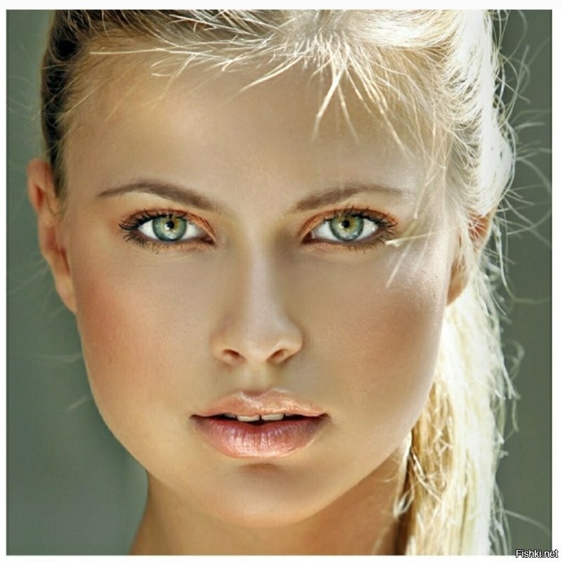 Солянка от 23.11.2022