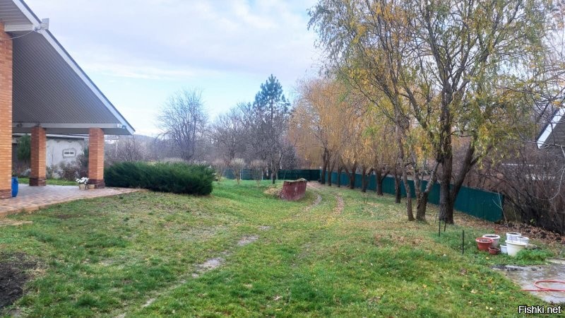 А что не так с травой? У меня воробьи в траве не прячутся, т.к. бесперспективно. Во дворе бегают две собаки, которым скучно и в головах миссия - поймать что ни будь живое и уничтожить. А потом выложить на пороге рядком убитых кротов, мышей, птиц, зайцев и пр. Только с ежами у них пакт о не нападении. А воробьи летают не ниже 2 метров.