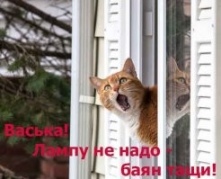 14 особенностей жизни в Южной Корее, от которых у туристов голова кругом