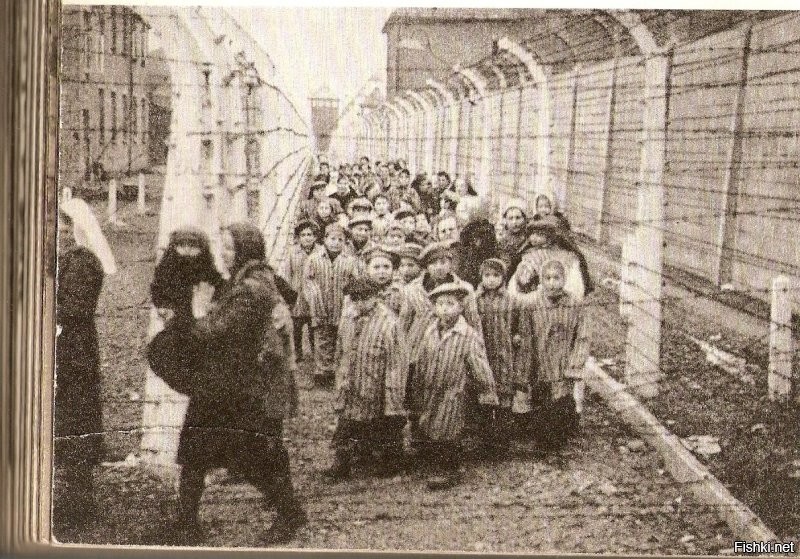 вот не надо про "обычными людьми". Эти обычные люди шли по земле СССР убивая, уничтожая и насилуя мирное население! детей, женщин, стариков! Эти "обычные люди" были охранниками и надзирателями в Освенциме, Бухенвальде, Треблинке, Майданеке, Саласпилсе, Равенбрюхене!!! Нет им прощения! Прокляты они и все потомки их.