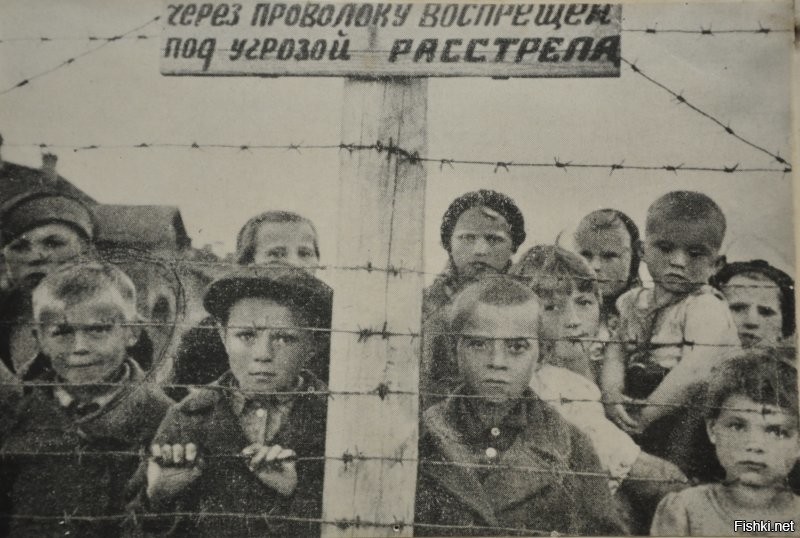 вот не надо про "обычными людьми". Эти обычные люди шли по земле СССР убивая, уничтожая и насилуя мирное население! детей, женщин, стариков! Эти "обычные люди" были охранниками и надзирателями в Освенциме, Бухенвальде, Треблинке, Майданеке, Саласпилсе, Равенбрюхене!!! Нет им прощения! Прокляты они и все потомки их.