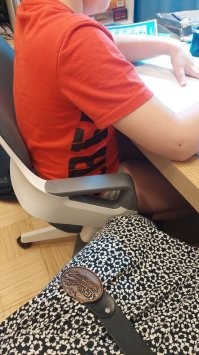 Мой внук сегодня уроки делал. «Уши мальчика на спине его..."