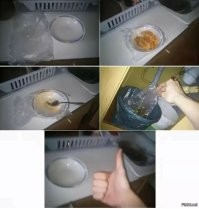 Смешные и познавательные картинки