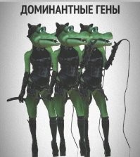 Скрины из соцсетей