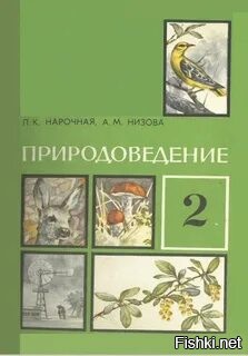 Нам об этом говорили на уроке природоведения, во втором классе.