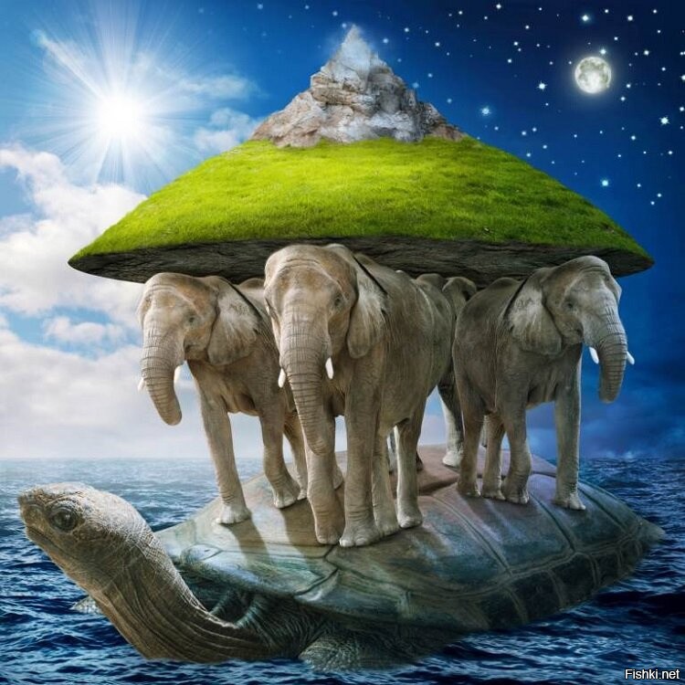 Солянка от 23.11.2022