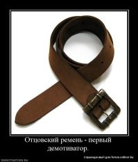 Йожика картинки. Выпуск 245