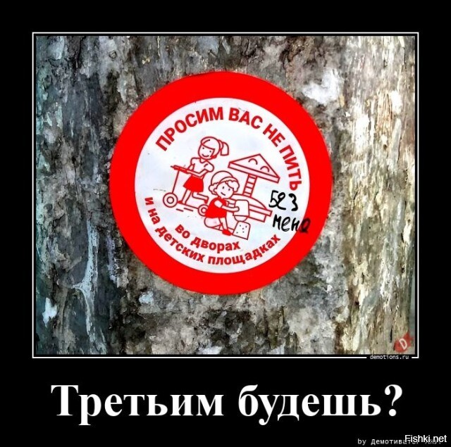 Солянка от 24.11.2022