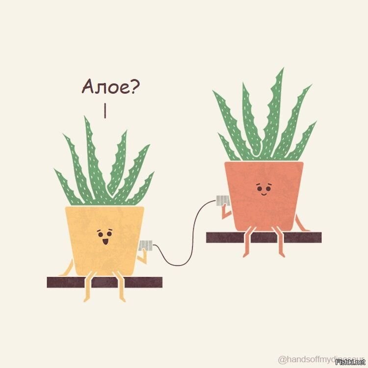 Солянка от 24.11.2022