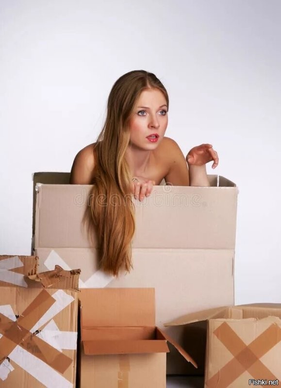 Солянка от 24.11.2022