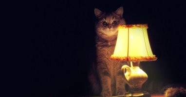 13 ситуаций, в которых лучше было бы промолчать
