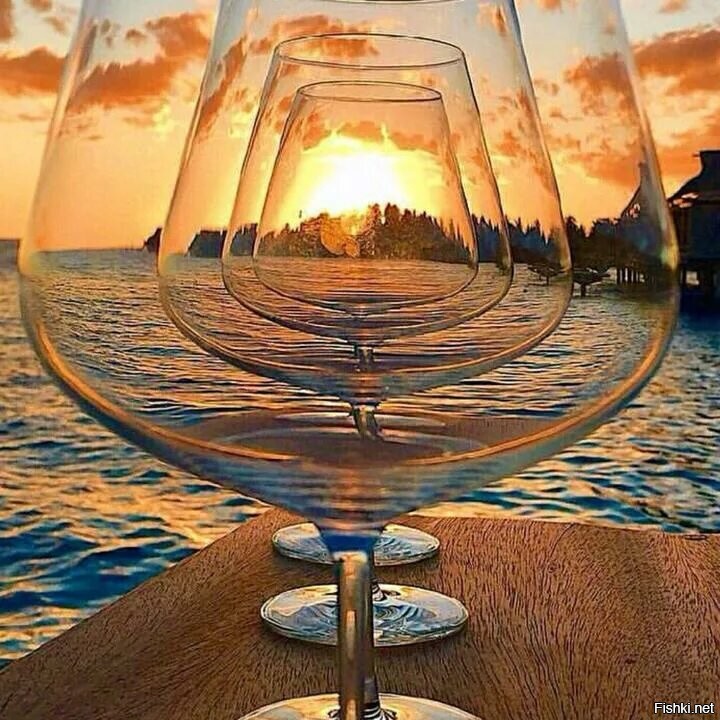 Солянка от 24.11.2022