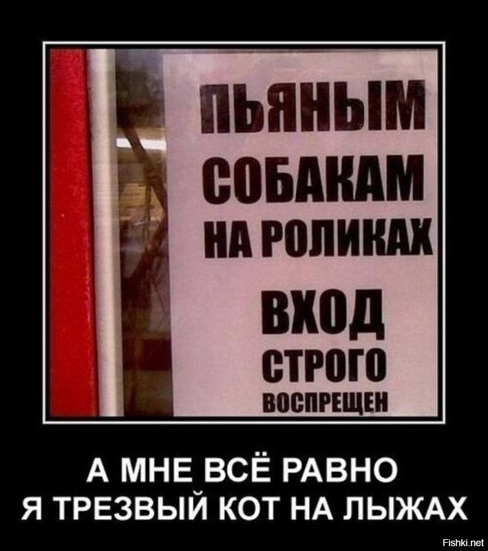 Солянка от 24.11.2022