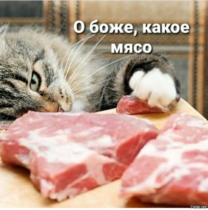 Солянка от 24.11.2022