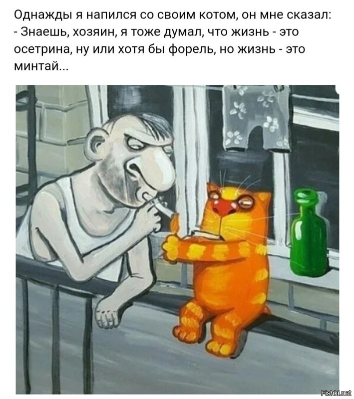 Солянка от 24.11.2022