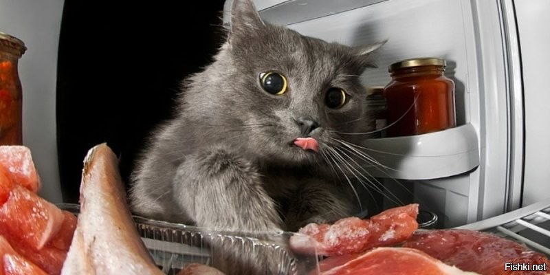 Солянка от 24.11.2022