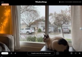 Зато попалось окно вот с таким видом: 
 /upload/users/2022/11/24/222203/fef4ed524ad066f14847b0488e3cd9c9.jpg