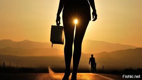 Солянка от 24.11.2022