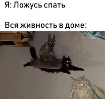 К первой.