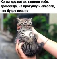 Йожика картинки. Выпуск 246
