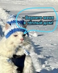 Йожика картинки. Выпуск 246