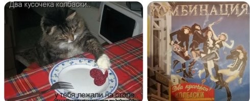Йожика картинки. Выпуск 246
