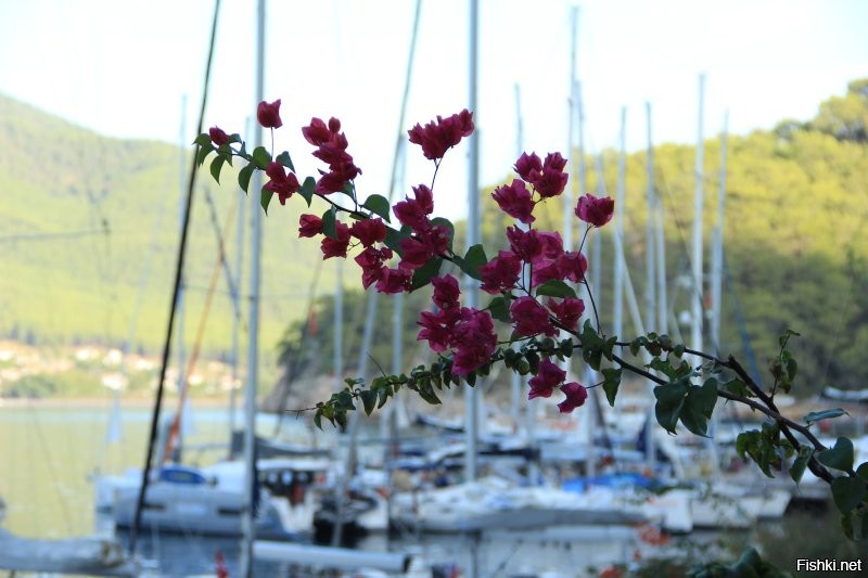 Привет спящим