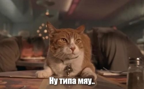 Солянка от 24.11.2022