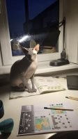 13 ситуаций, в которых лучше было бы промолчать