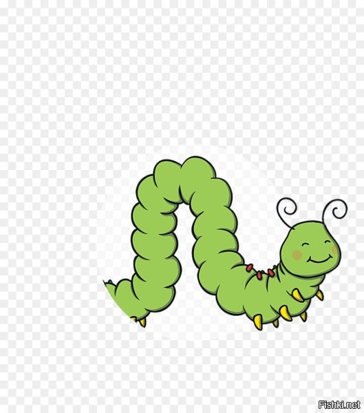 Солянка от 25.11.2022