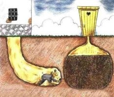 Скрины из соцсетей