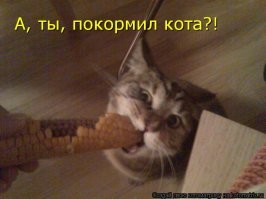 Не ищите здесь смысл. Здесь в основном маразм