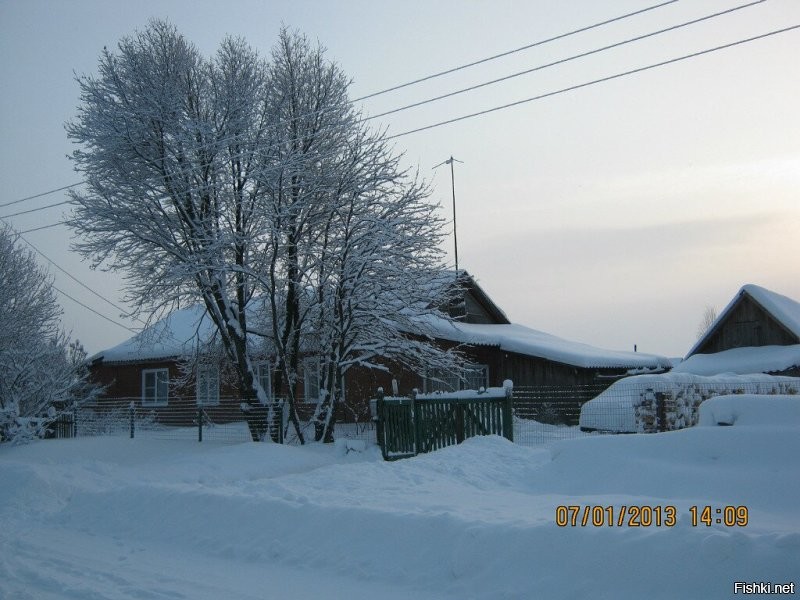 От станции, как от солнышка -лучики, во все стороны идут дороги к деревням, в т.ч. и нашей Тарасовке, и родине космонавта В.П.Савиных Березичам, и легендарным Новожилам, и грозному Марадыкову. В начале ХХ в, когда было построено здание станции (ну вот и время для легенды пришло)) )-говорят, один из тогдашних нуворишей специально ради своей грешной любимой выстроил, чтобы поезда останавливались- оказалось, что место и удобное, и вообще выгодное во всех ракурсах. И началось строительство. У нас была мебельная фабрика, совхоз, ферма, само собой, 2 магазина, почта, мед.пункт, пекарня, на которой выпекали хлеб, за которым специально со всей области приезжали (до сих пор помню: ноздреватый, влажный, двумя пальцами буханку можно было сдать, ароматный-пирожных к чаю не надо было, если он был на столе), библиотека с домом культуры, баня!!!!! с такой мягкой водой, что она пузырилась на коже, можно было без мыла мыться. А если уж возьмёшь мыло, то его потом не смыть. Школа-какая была школа! Бабушка принадлежала к благородной касте деревнской интеллигенции, а это, я скажу, особый статус. Который держится до сих пор, хотя ее нет уже 27 лет. 
Жизнь кипела. Люди свое место очень любили. Я терпеть не могу грязь, свалки-их у нас никогда не было. 
А потом пришли 90-е гг. В Марадыковском стали строить УХО- завод по уничтожению хим.отходов, т.к. здесь хранились боевые запасы хим.оружия ещё со времён ВОв.  Жителей в радиусе 40 км хотели расселить, но это оказалось дорого, поэтому просто перерезали всю инфраструктуру. Сначала сгорели фабрика и баня, потом рассыпался совхоз с фермой, прикрыли школу с мед.пунктом и почтой, закрыли оба магазина.  Солнечное здание станции перекрасили в благородный туальденоровый цвет. 
Оставили тихо умирать. 
А люди все равно сюда едут. Муж, впервые приехав знакомиться с моей мамой, был в таком ажиотаже, что, казалось, бросит город и уедет пейзанствовать. До сих пор от этой мысли не отказался.