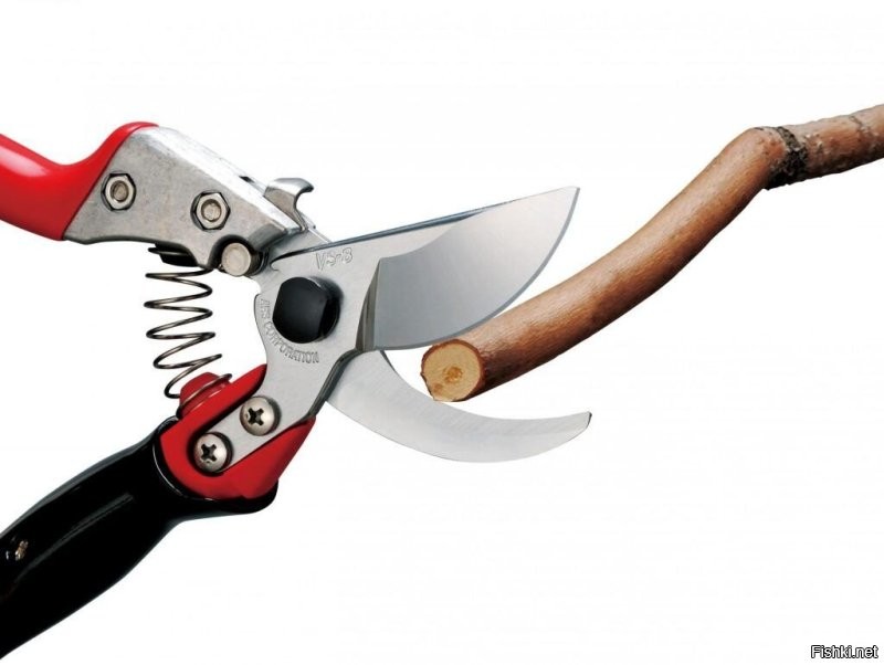 Солянка от 25.11.2022