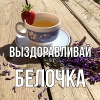 На Урале спасают белку с гигантской опухшей лапой