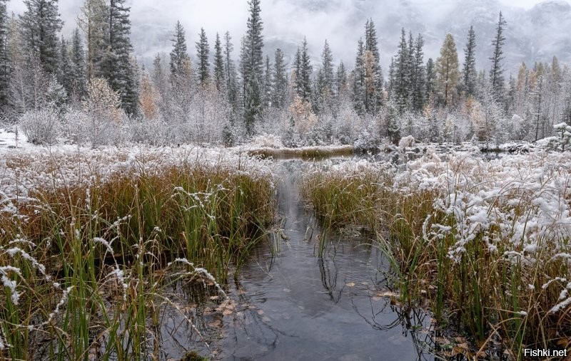 Чёрт, не получается уйти &quot;в запой&quot;