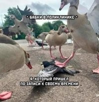 Смешные и познавательные картинки